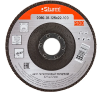 9010-01-125x22-100 Круг лепестковый 125х22 100 зерно, Sturm!
