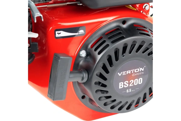 Двигатель VERTON GARDEN BS-200/19 (4.8кВт/6.5л.c, вал 19мм)